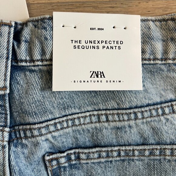 The Unexpected Sequin Pants - Zara - Picture 8 of 9